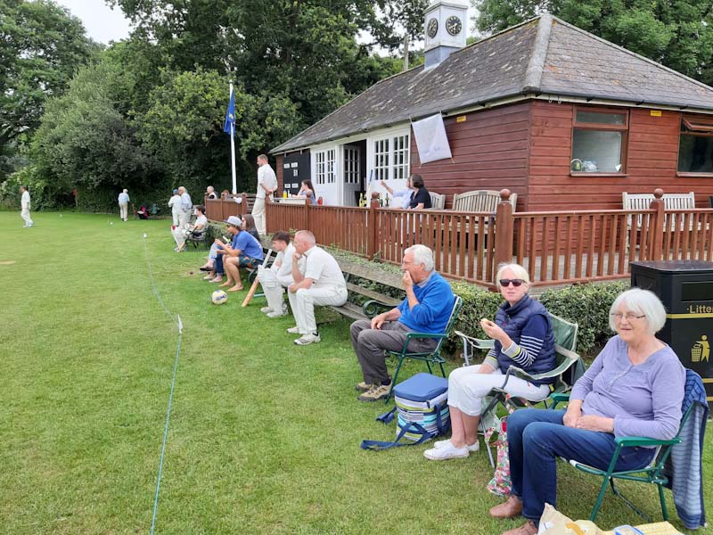 Crowhurst cricket club photo of Centenary celebrations 7th July 2019. Aerial phot of the pitch