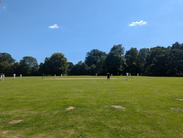 Crowhurst cricket club photos 2024